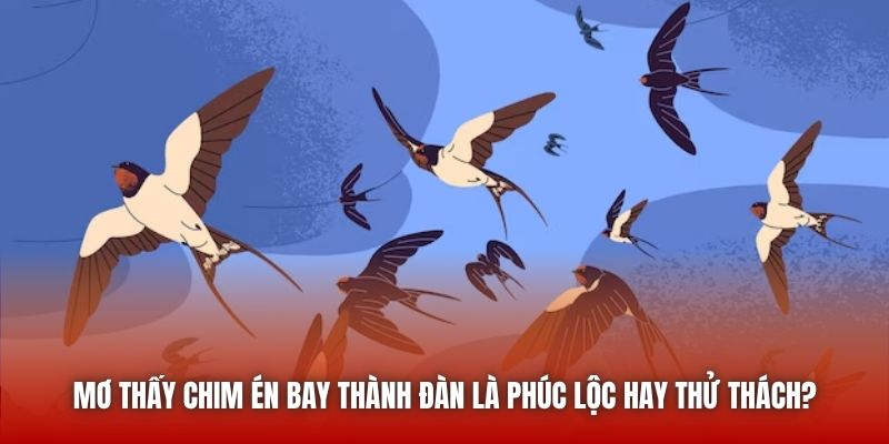 Mơ thấy chim én bay thành đàn là phúc lộc hay thử thách?
