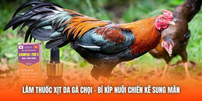 Làm Thuốc Xịt Da Gà Chọi - Bí Kíp Nuôi Chiến Kê Sung Mãn