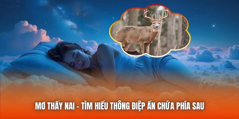 Mơ Thấy Nai - Tìm Hiểu Thông Điệp Ẩn Chứa Phía Sau