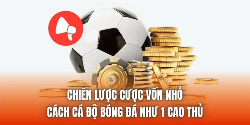Chiến Lược Cược Vốn Nhỏ | Cách Cá Độ Bóng Đá Như 1 Cao Thủ