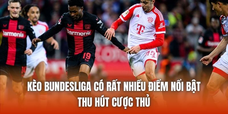 Kèo Bundesliga có rất nhiều điểm nổi bật thu hút cược thủ