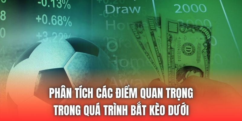 Phân tích các điểm quan trọng trong quá trình bắt kèo dưới